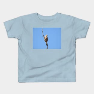 Mourning Dove, birds, wildlife, nature, gifts Kids T-Shirt